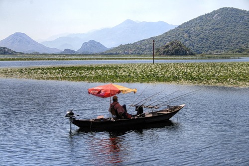 Рыбак на Скадарском озере в Черногории. Фото: Яндекс.Фотки, Ol_ga